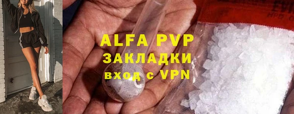 сатива Вязьма