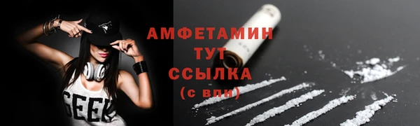 сатива Вязьма