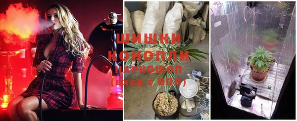 сатива Вязьма