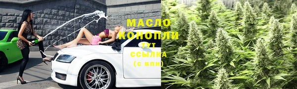 сатива Тобольск