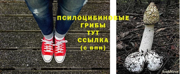 сатива Вязьма