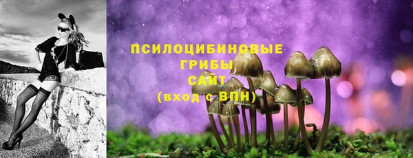 мескалин Вяземский