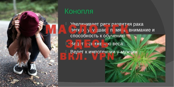 сатива Вязьма