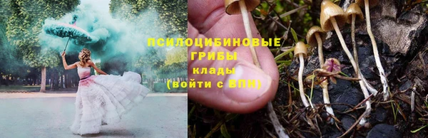 сатива Вязьма