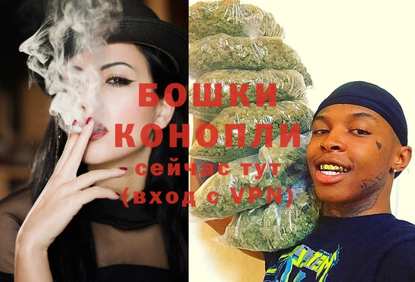 сатива Вязьма