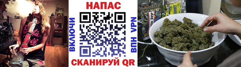 Шишки марихуана марихуана  гидра маркетплейс  Отрадный 